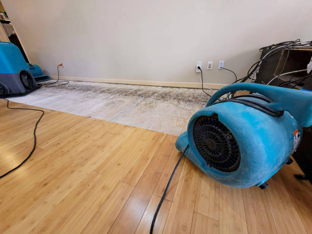 Professional Ceiling Water Damage Repair technician working in West Newton, PA